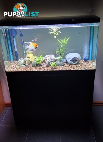Aqua One Fish Tank / Aquarium