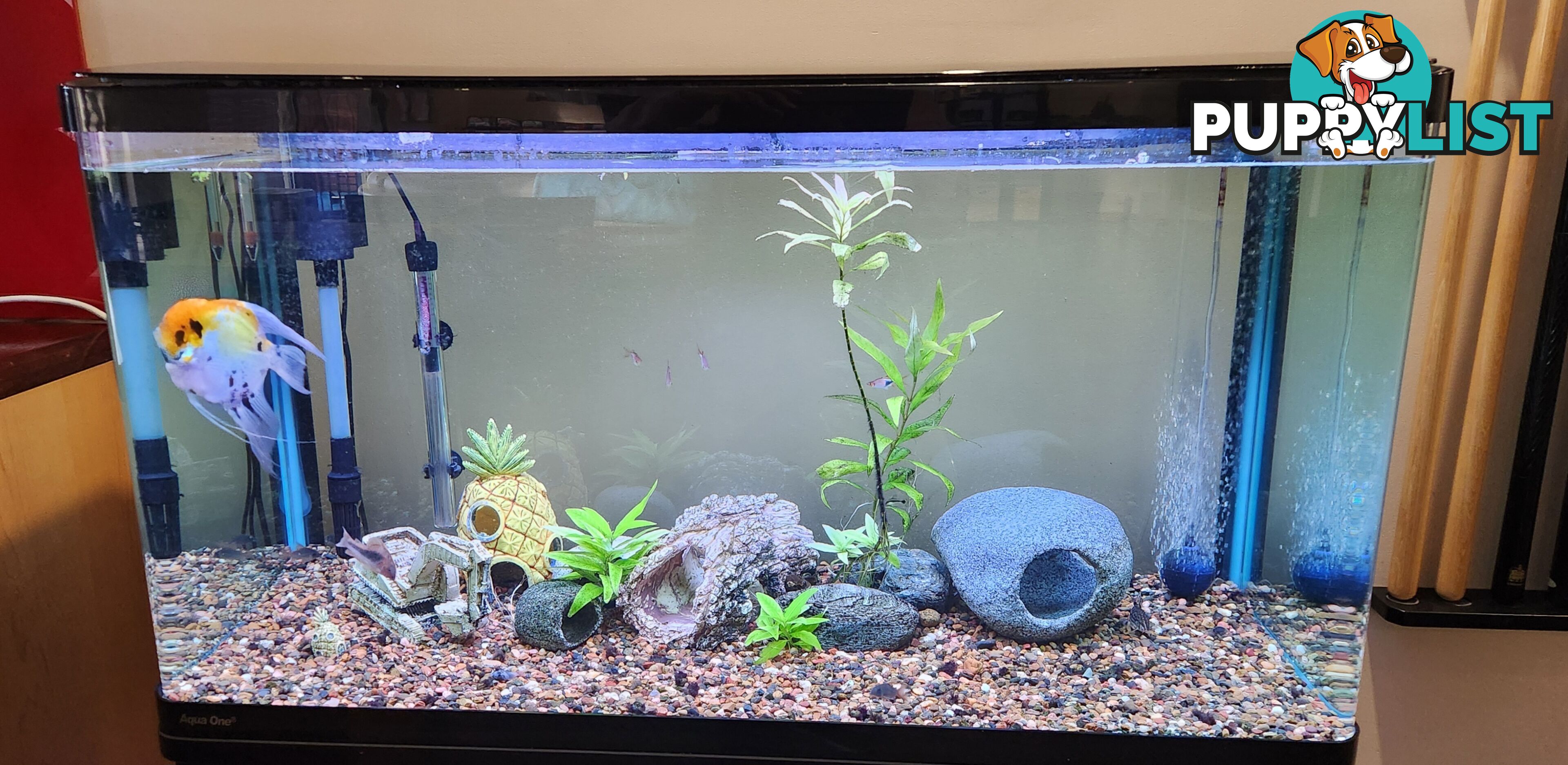 Aqua One Fish Tank / Aquarium