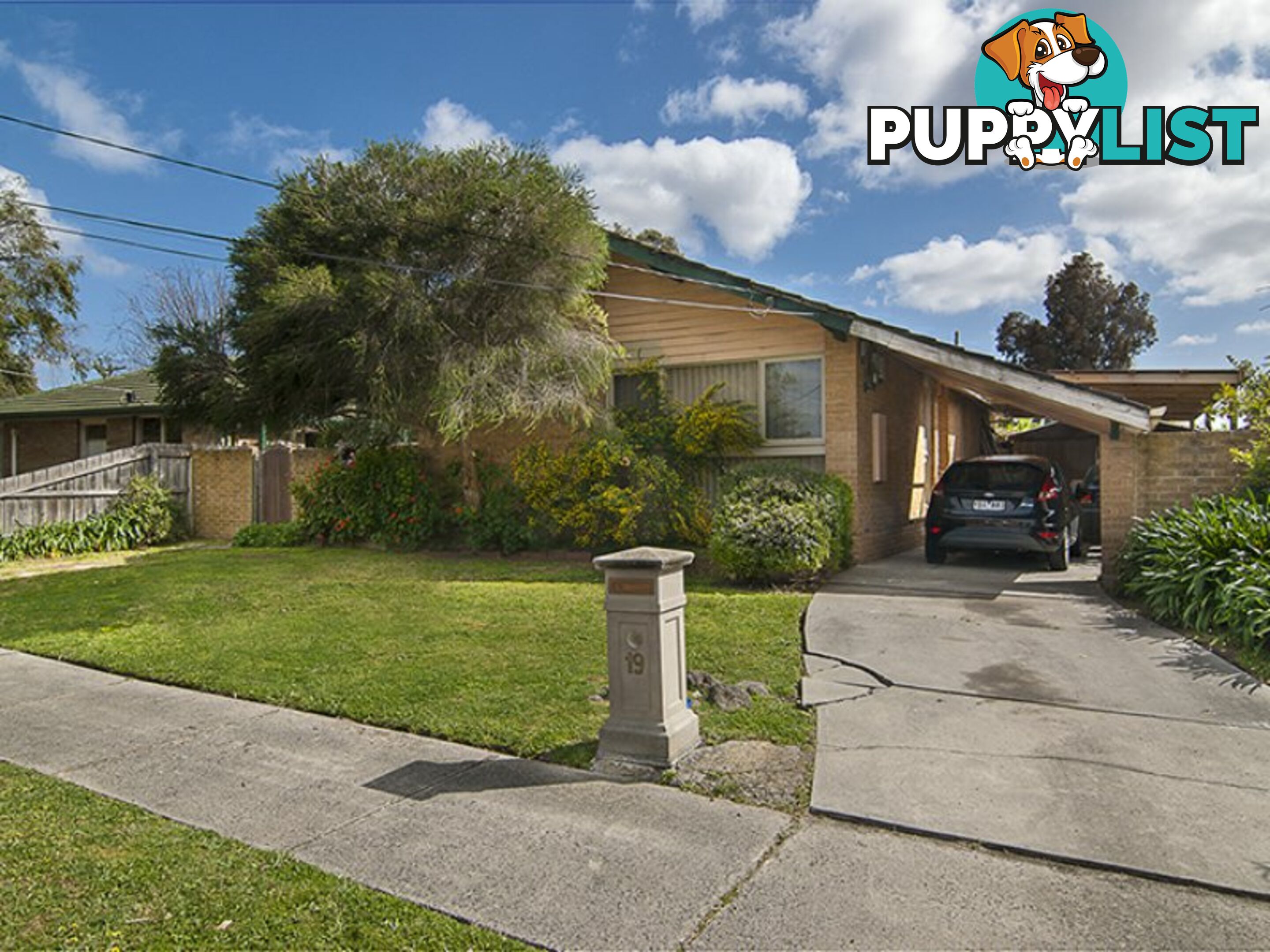 19 Gwent Street SPRINGVALE SOUTH VIC 3172