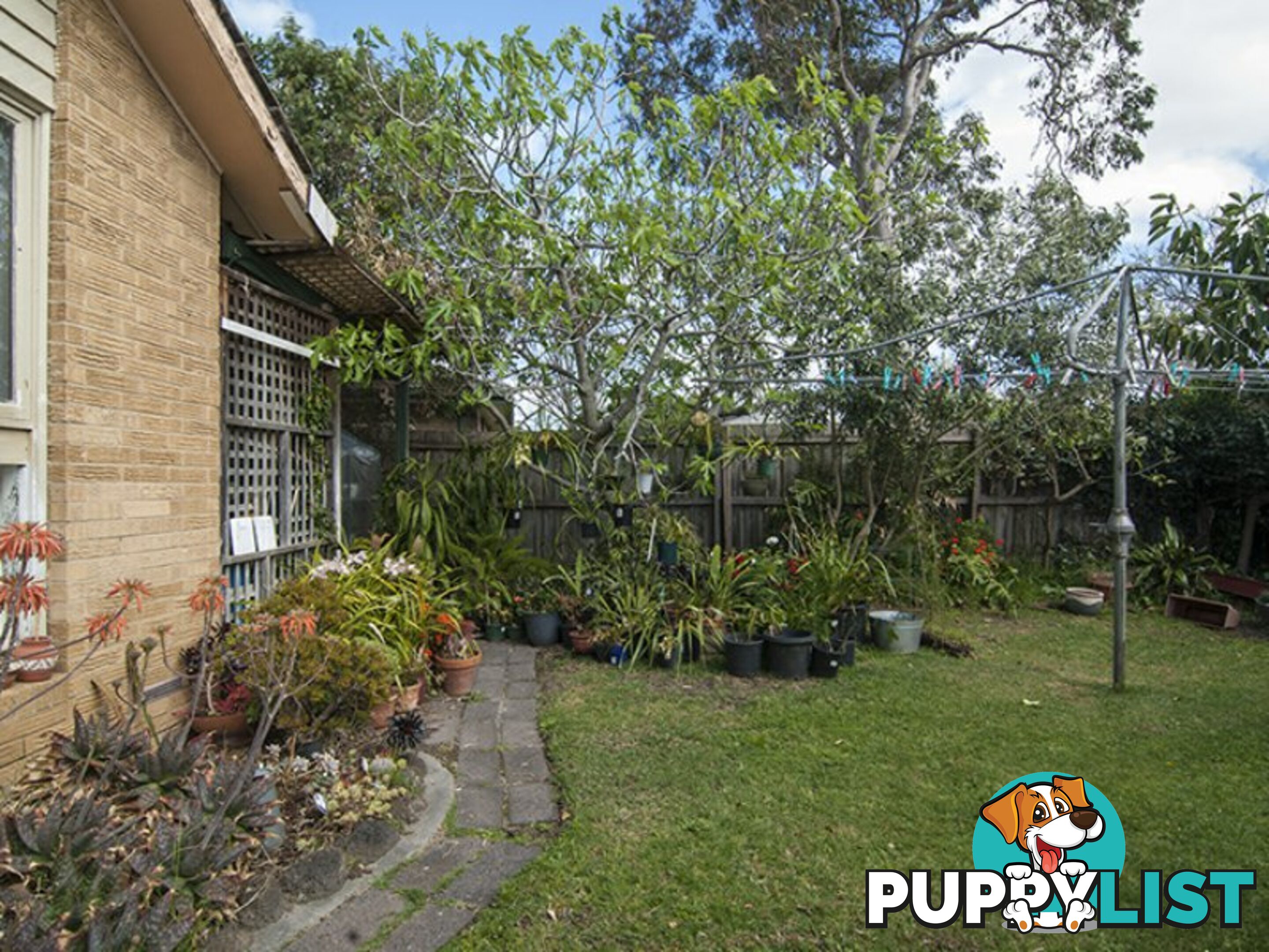 19 Gwent Street SPRINGVALE SOUTH VIC 3172