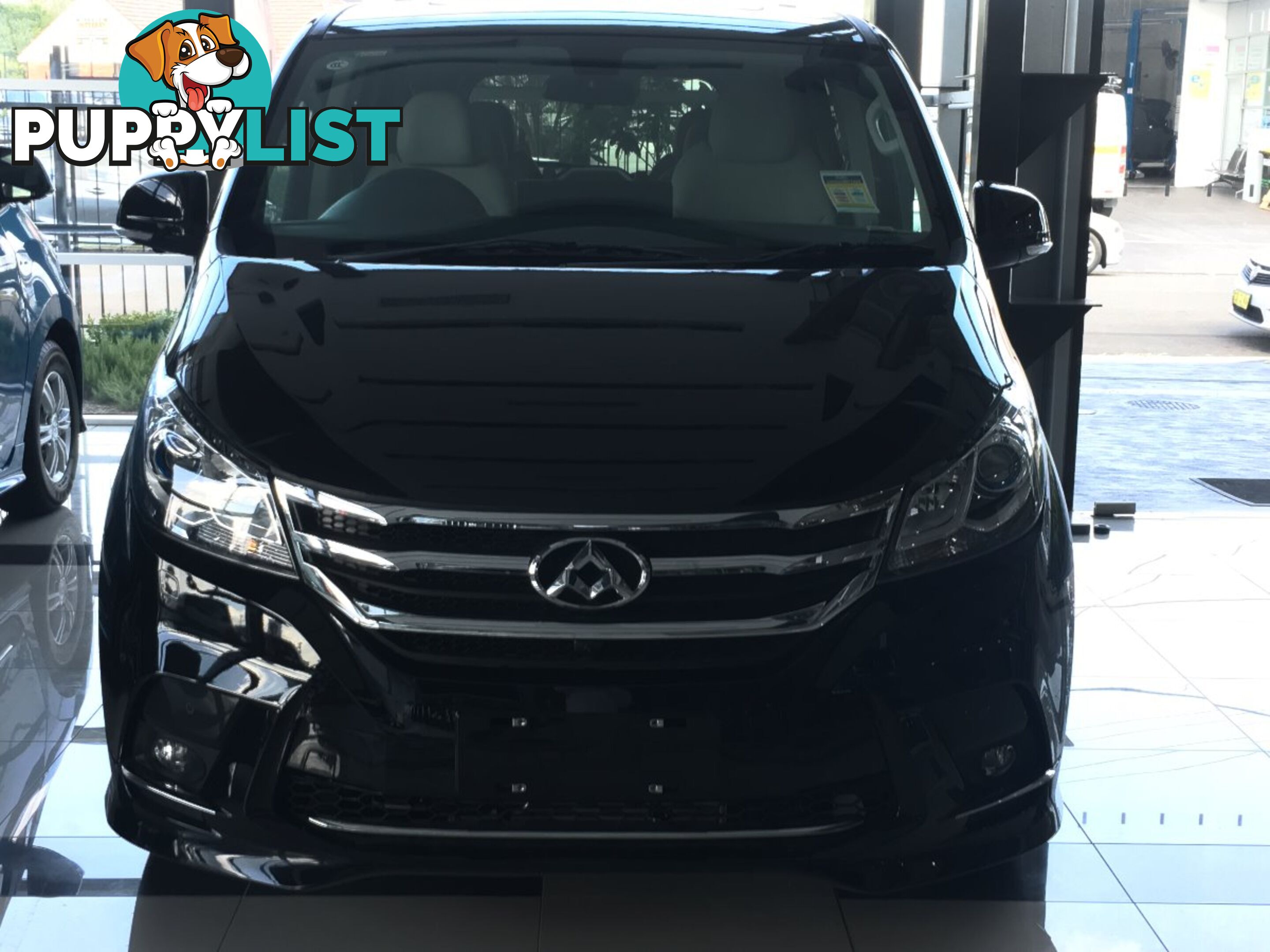 2017 LDV G10 (9 SEAT) SV7A 4D WAGON