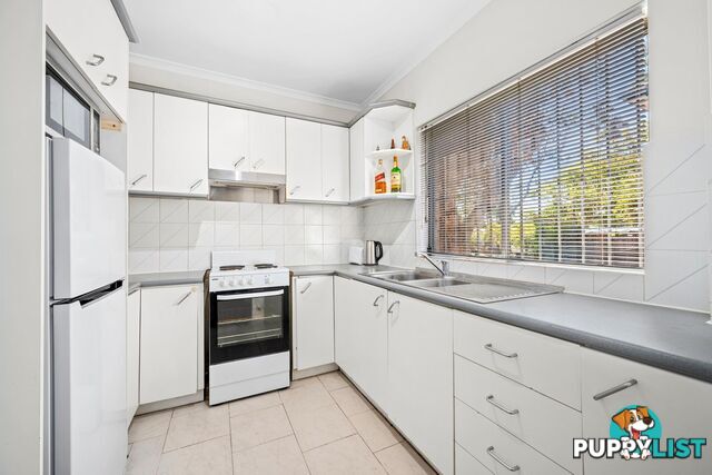 1/41 First Avenue CAMPSIE NSW 2194