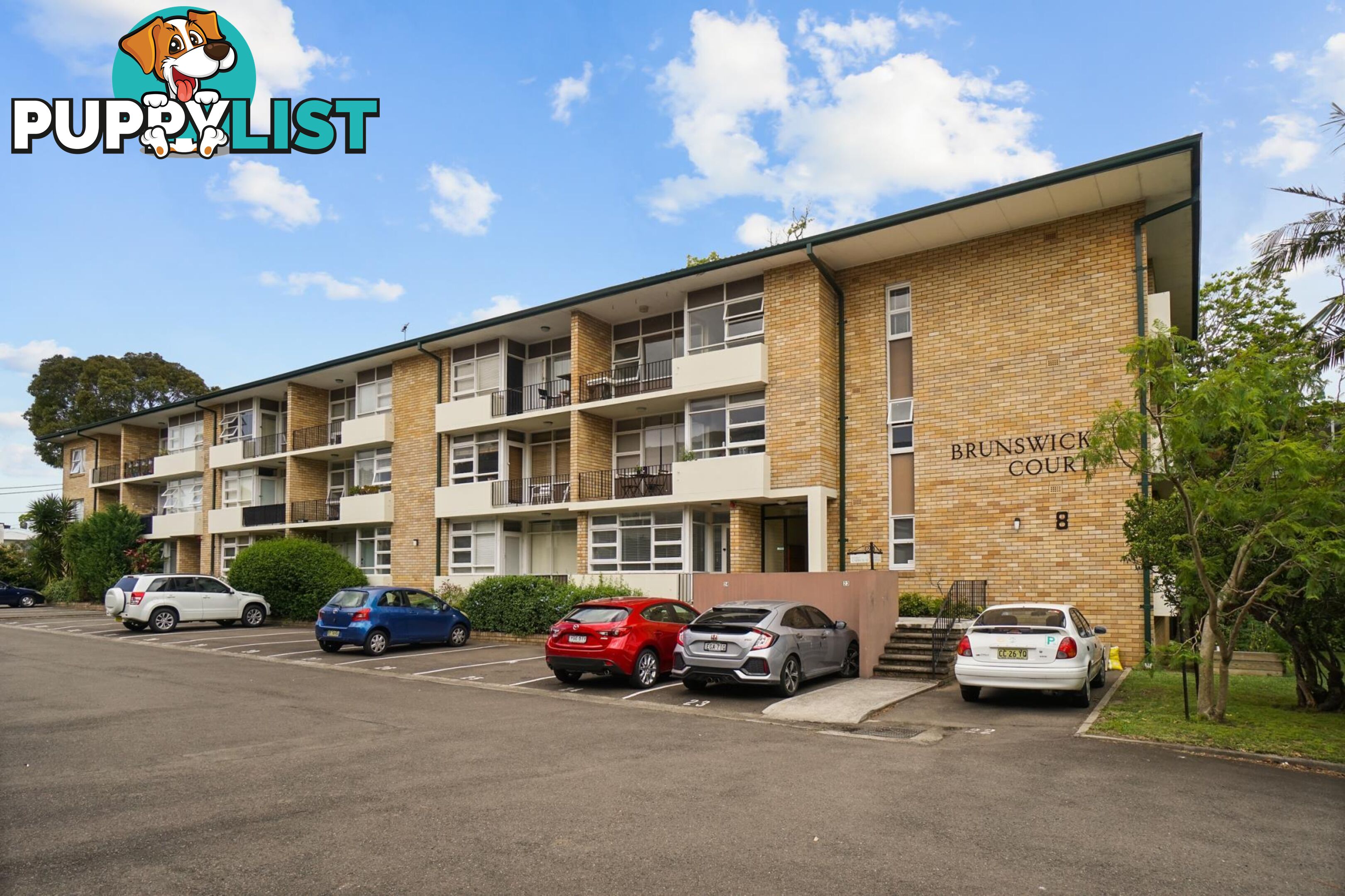 1/8 Brunswick Parade ASHFIELD NSW 2131