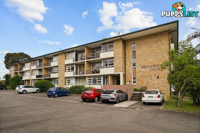 1/8 Brunswick Parade ASHFIELD NSW 2131
