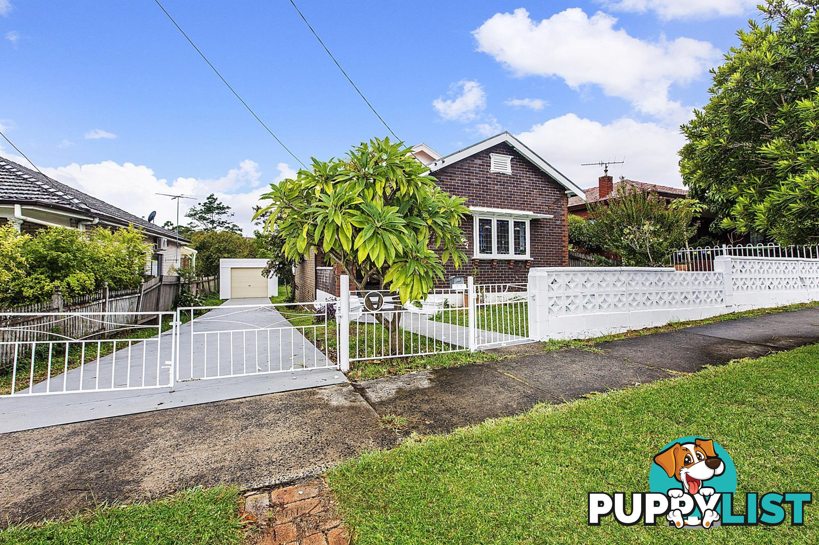 10 Goodlet Street ASHBURY NSW 2193