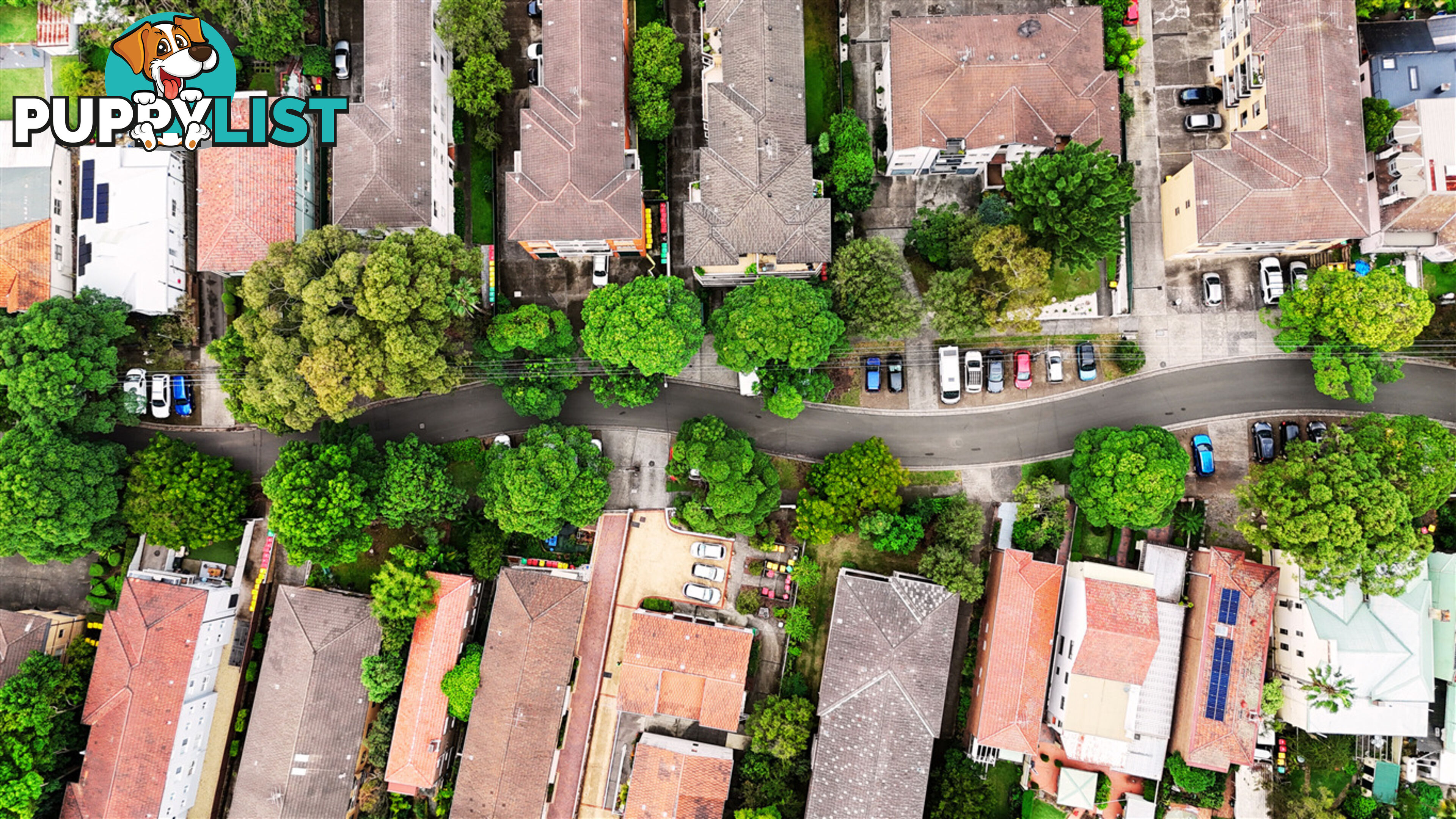 19/99-103 The Boulevarde DULWICH HILL NSW 2203