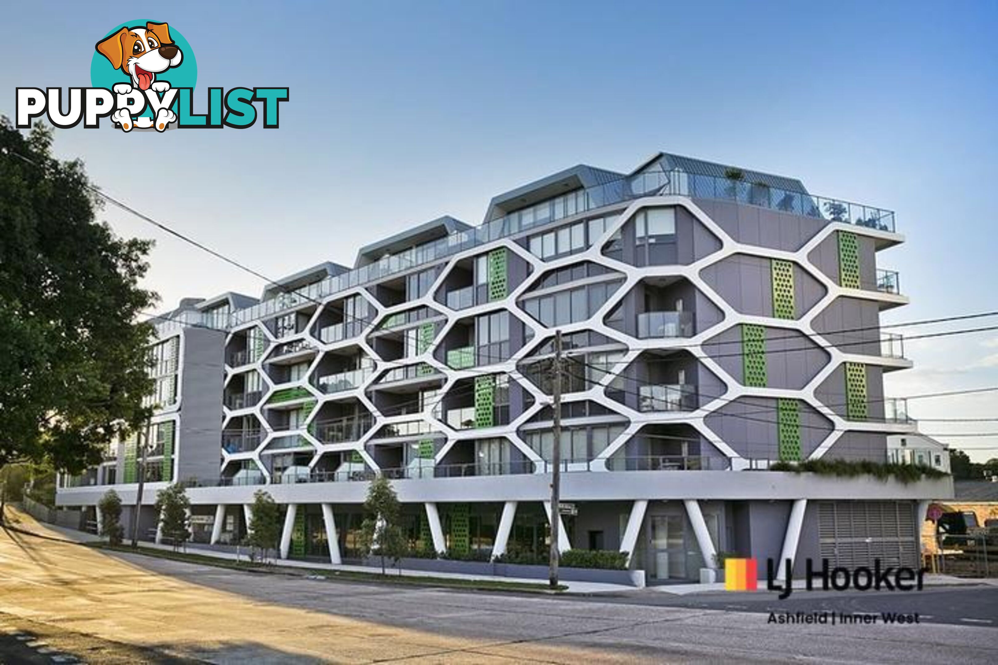 105/20 McGill Street LEWISHAM NSW 2049