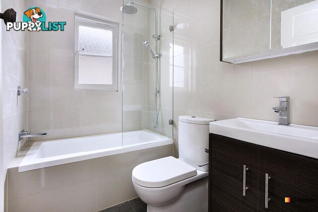 38 Third Street ASHBURY NSW 2193
