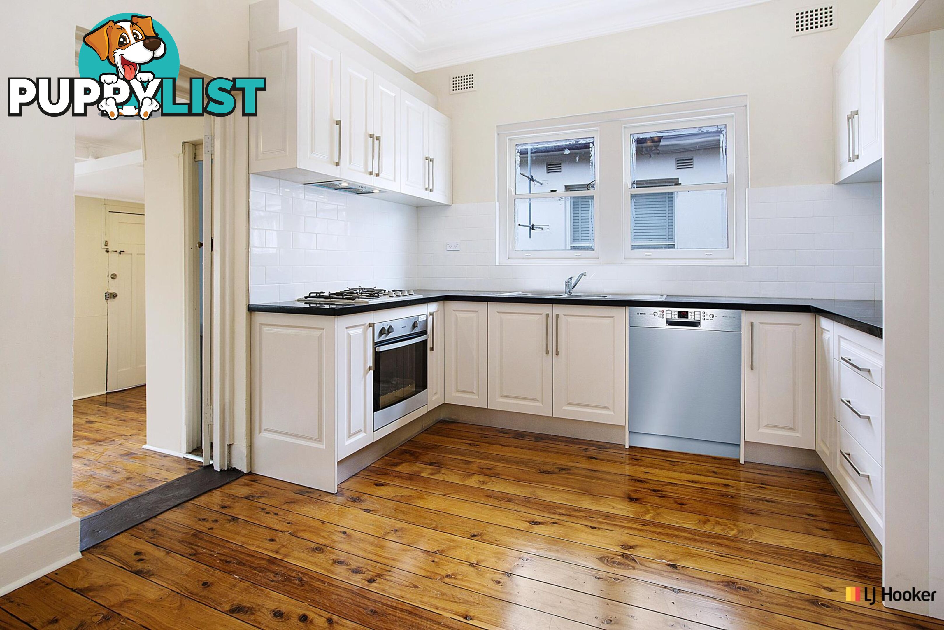 38 Third Street ASHBURY NSW 2193