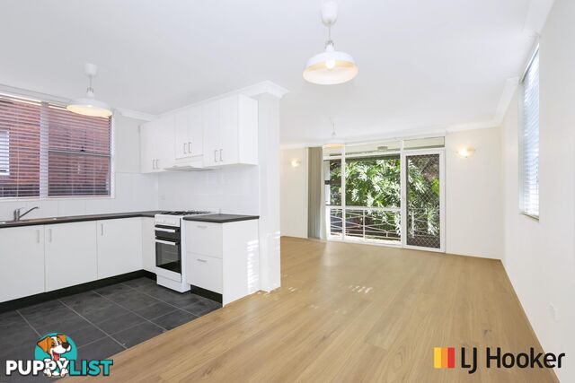 4/4-6 Tintern Road ASHFIELD NSW 2131