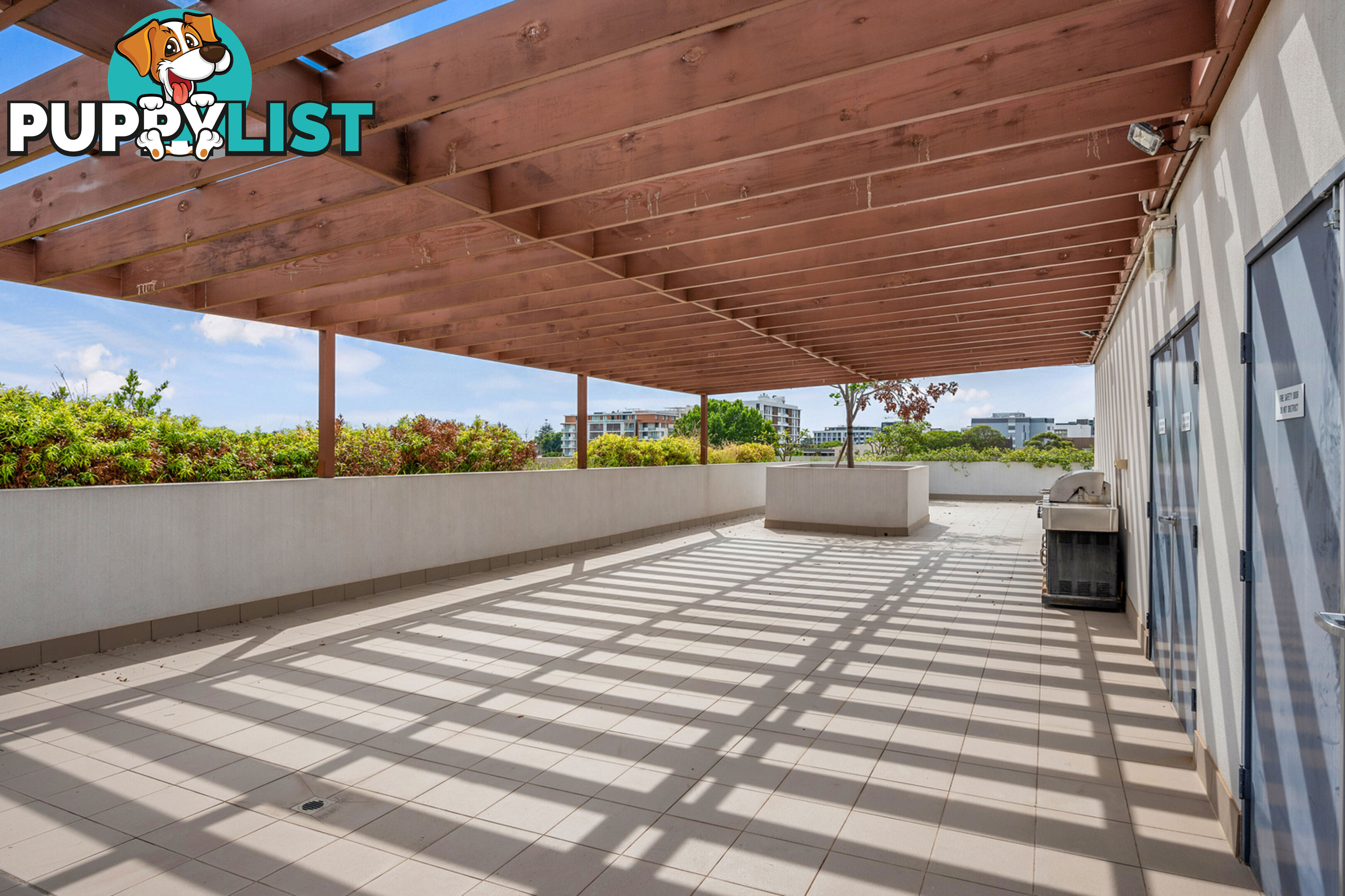 102/2 Thomas Street ASHFIELD NSW 2131