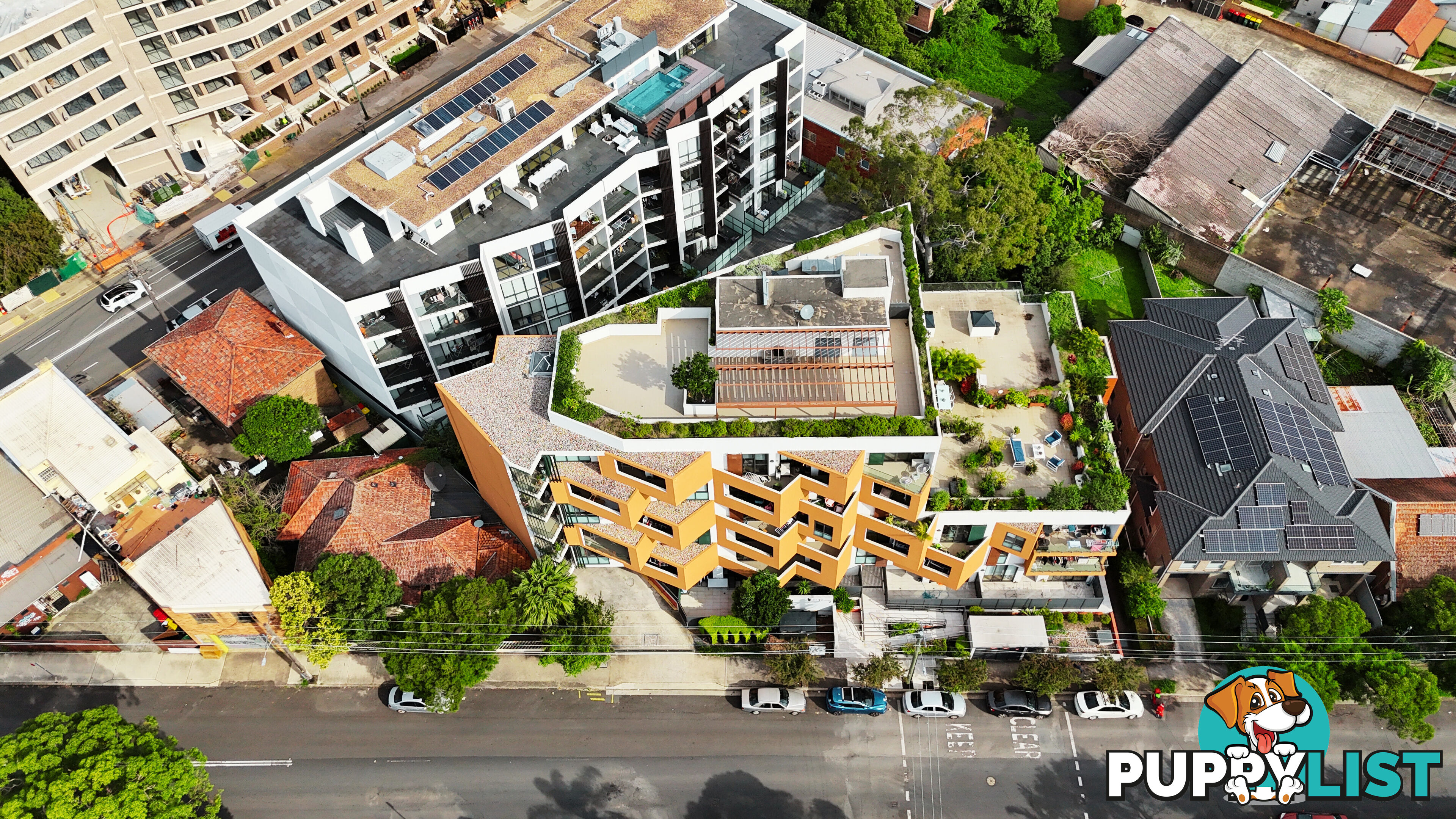 102/2 Thomas Street ASHFIELD NSW 2131