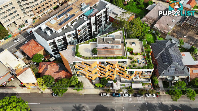 102/2 Thomas Street ASHFIELD NSW 2131