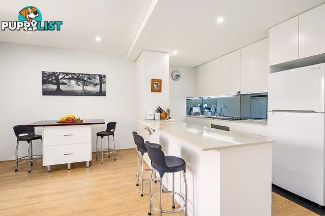 36/28 Gower Street SUMMER HILL NSW 2130