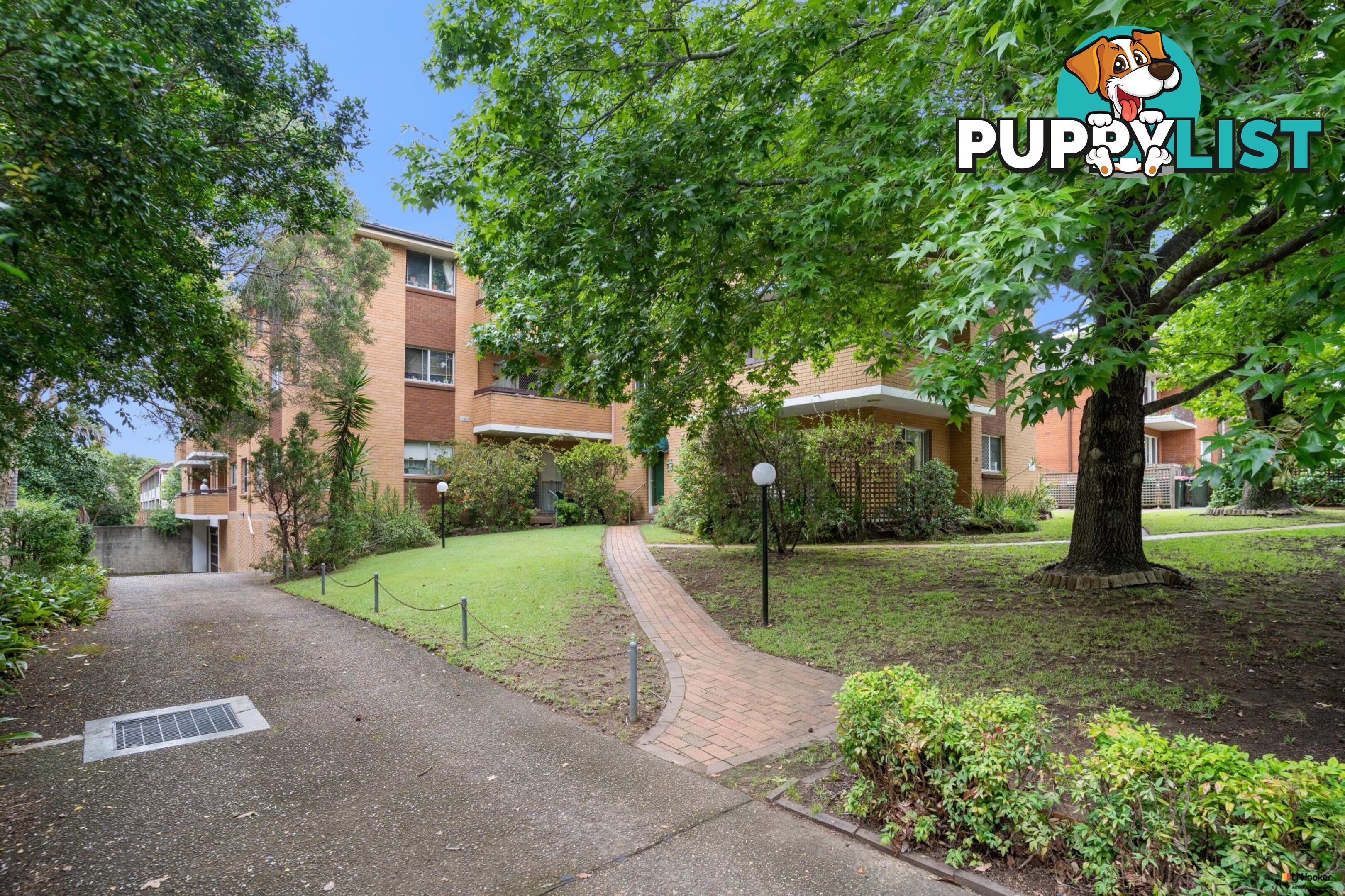 17/15 Cecil Street ASHFIELD NSW 2131