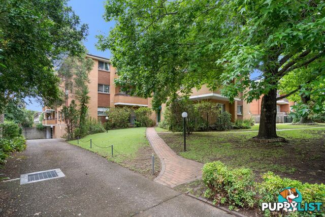 17/15 Cecil Street ASHFIELD NSW 2131