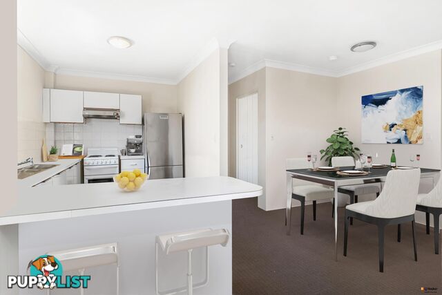 17/15 Cecil Street ASHFIELD NSW 2131