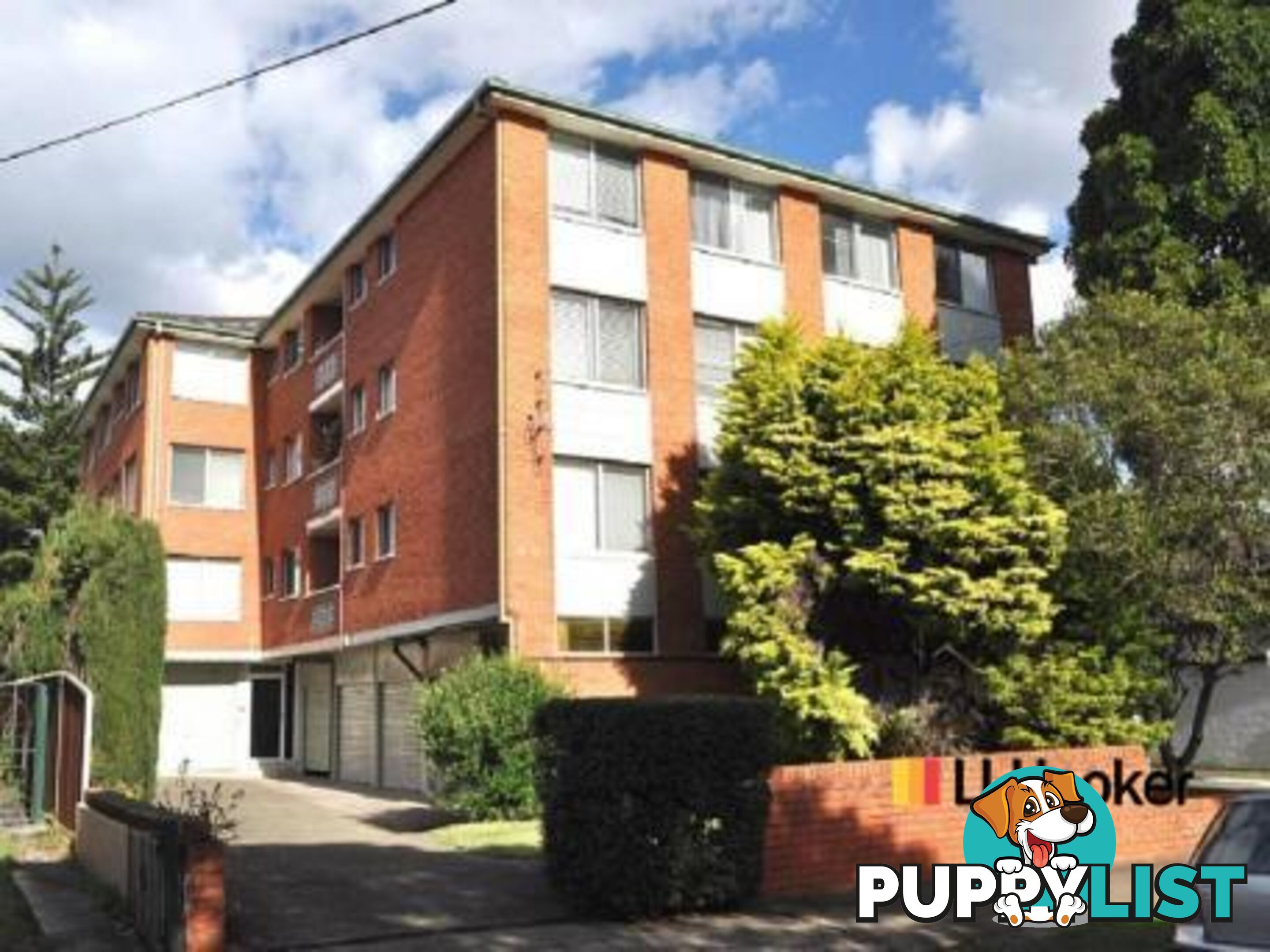 5/43-45 Cecil Street ASHFIELD NSW 2131