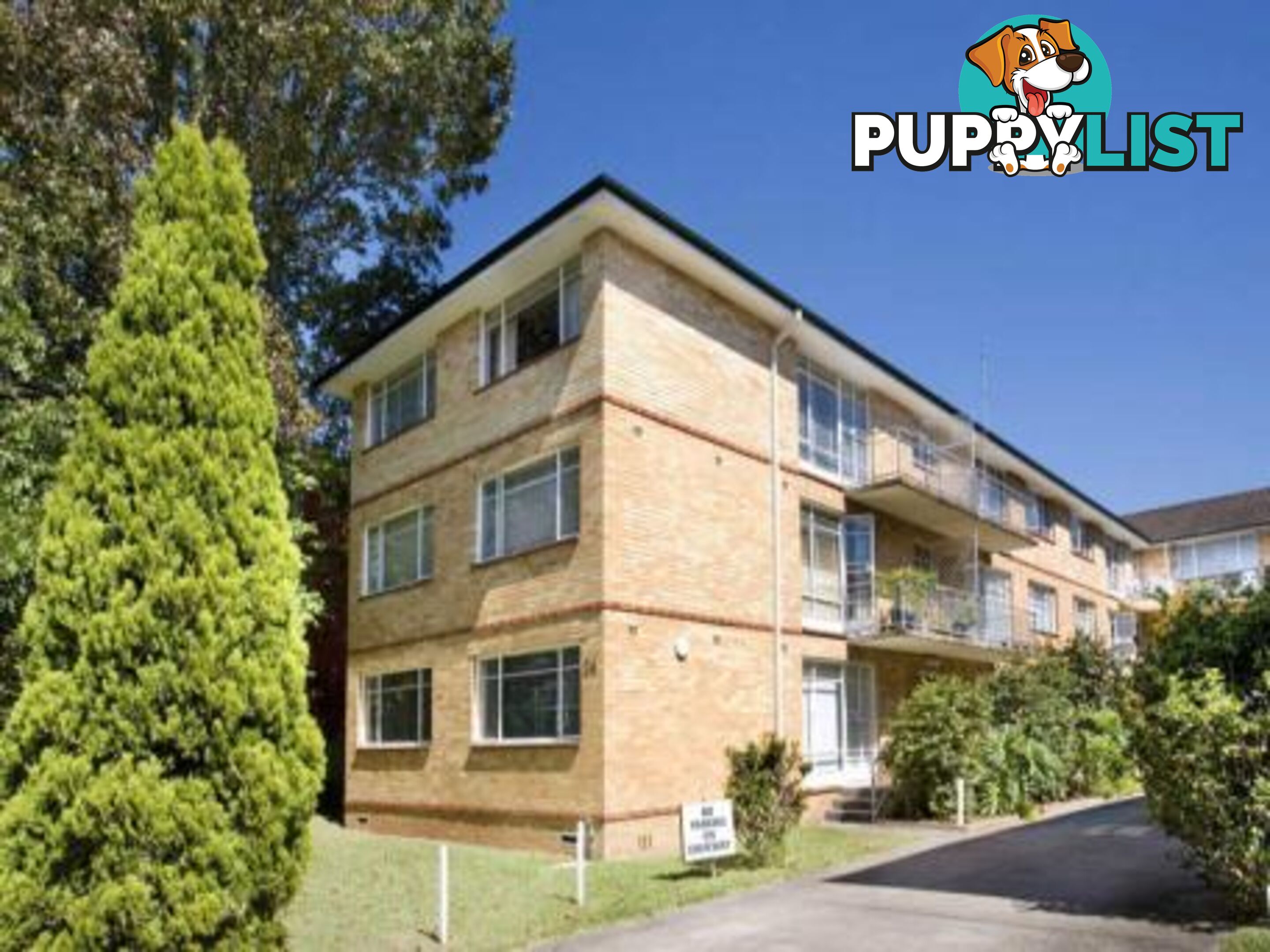 13/24 Chandos Street ASHFIELD NSW 2131