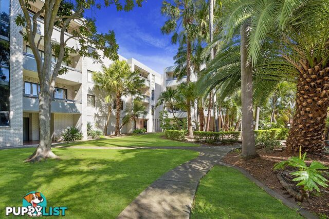21/92-96 Milton Street ASHFIELD NSW 2131