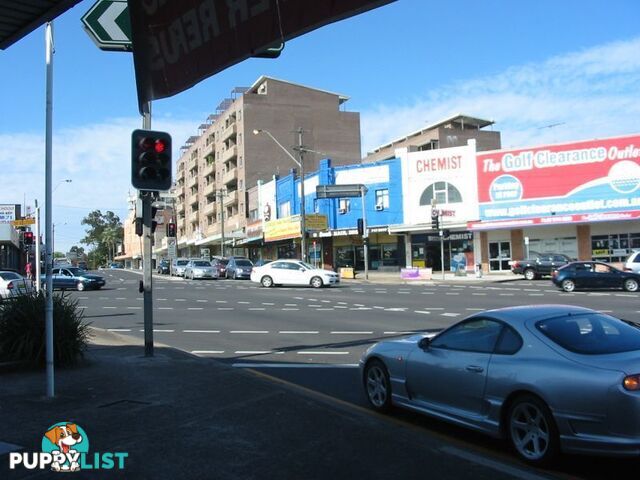 195 The Boulevarde ENFIELD NSW 2136