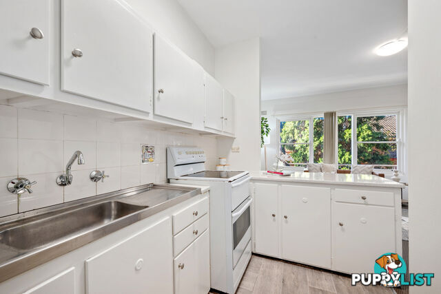 8/88 Alt Street ASHFIELD NSW 2131