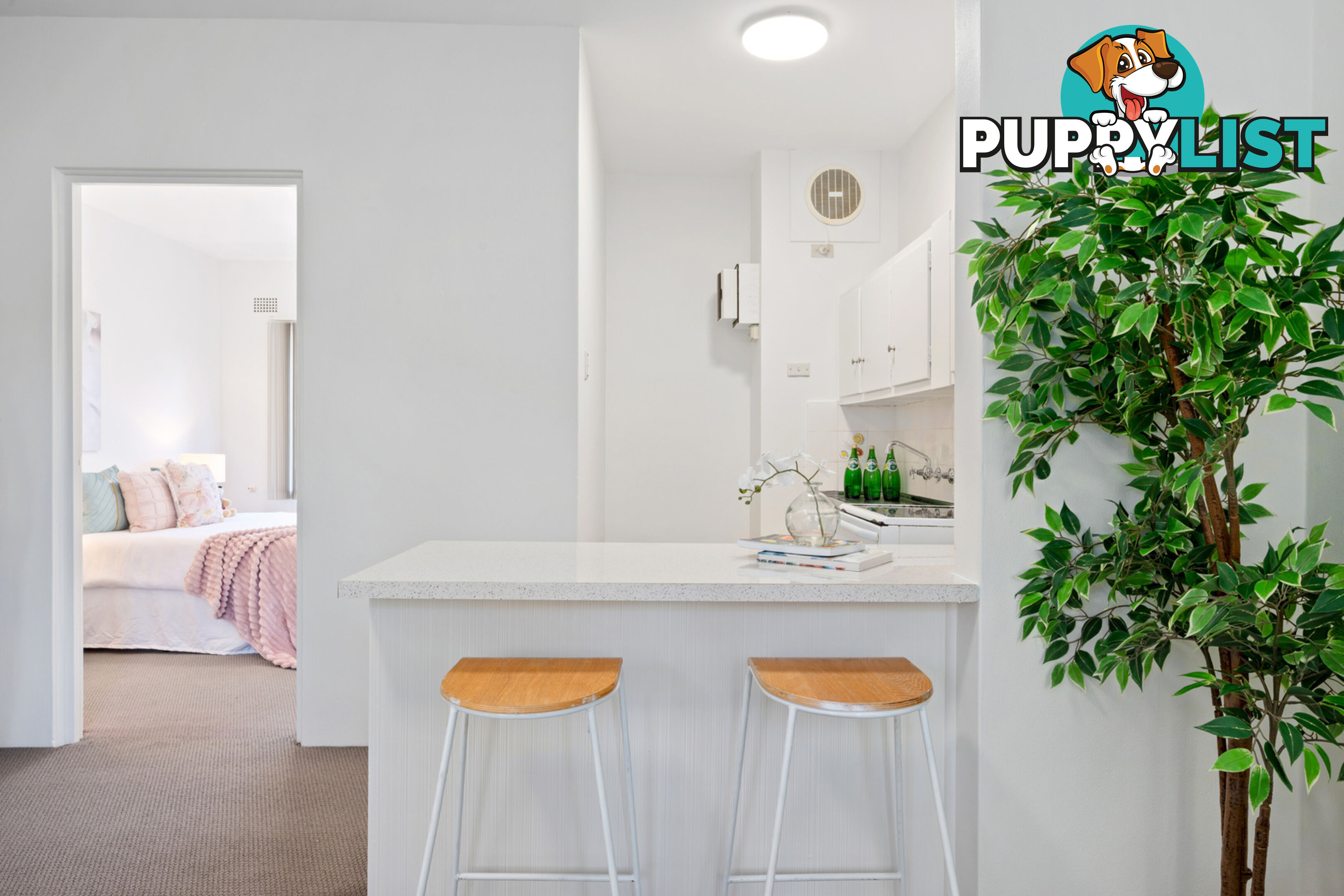 8/88 Alt Street ASHFIELD NSW 2131