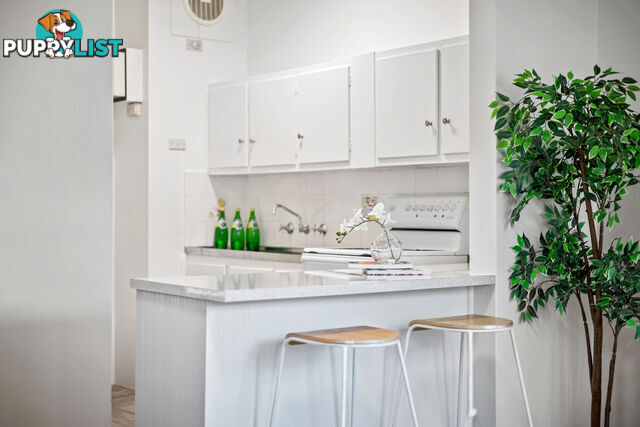 8/88 Alt Street ASHFIELD NSW 2131