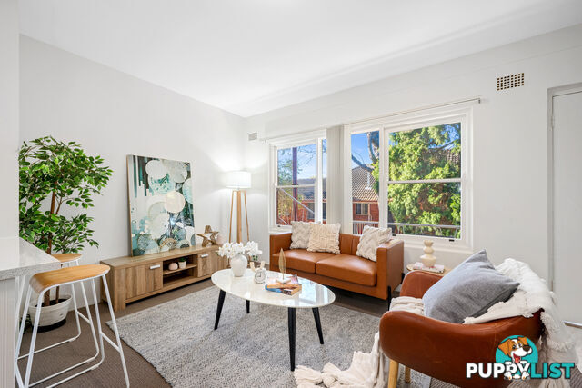 8/88 Alt Street ASHFIELD NSW 2131