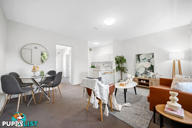 8/88 Alt Street ASHFIELD NSW 2131