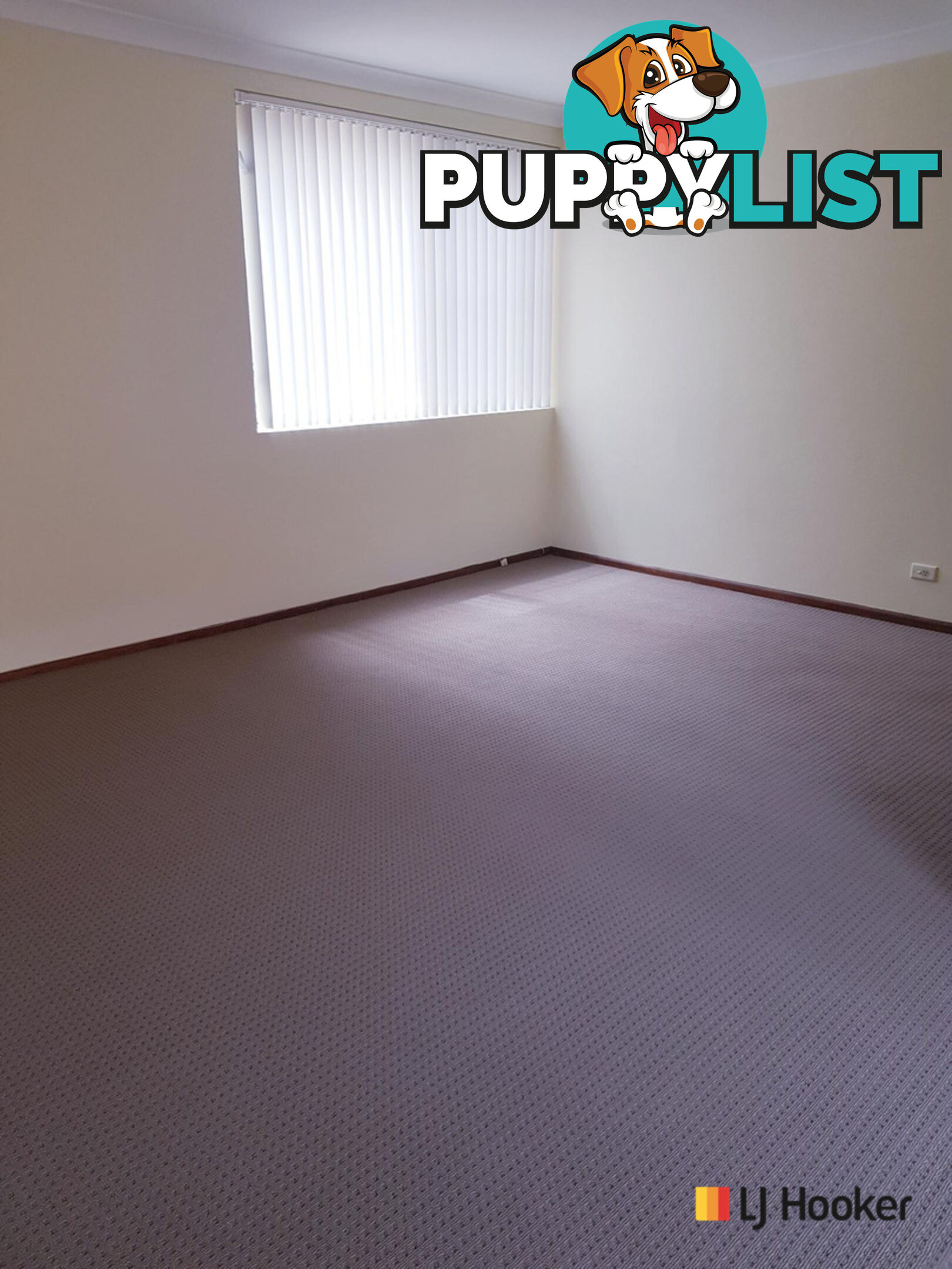 4/72 Charlotte Street ASHFIELD NSW 2131