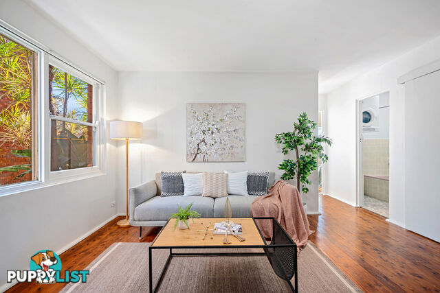 1/187 Frederick Street ASHFIELD NSW 2131