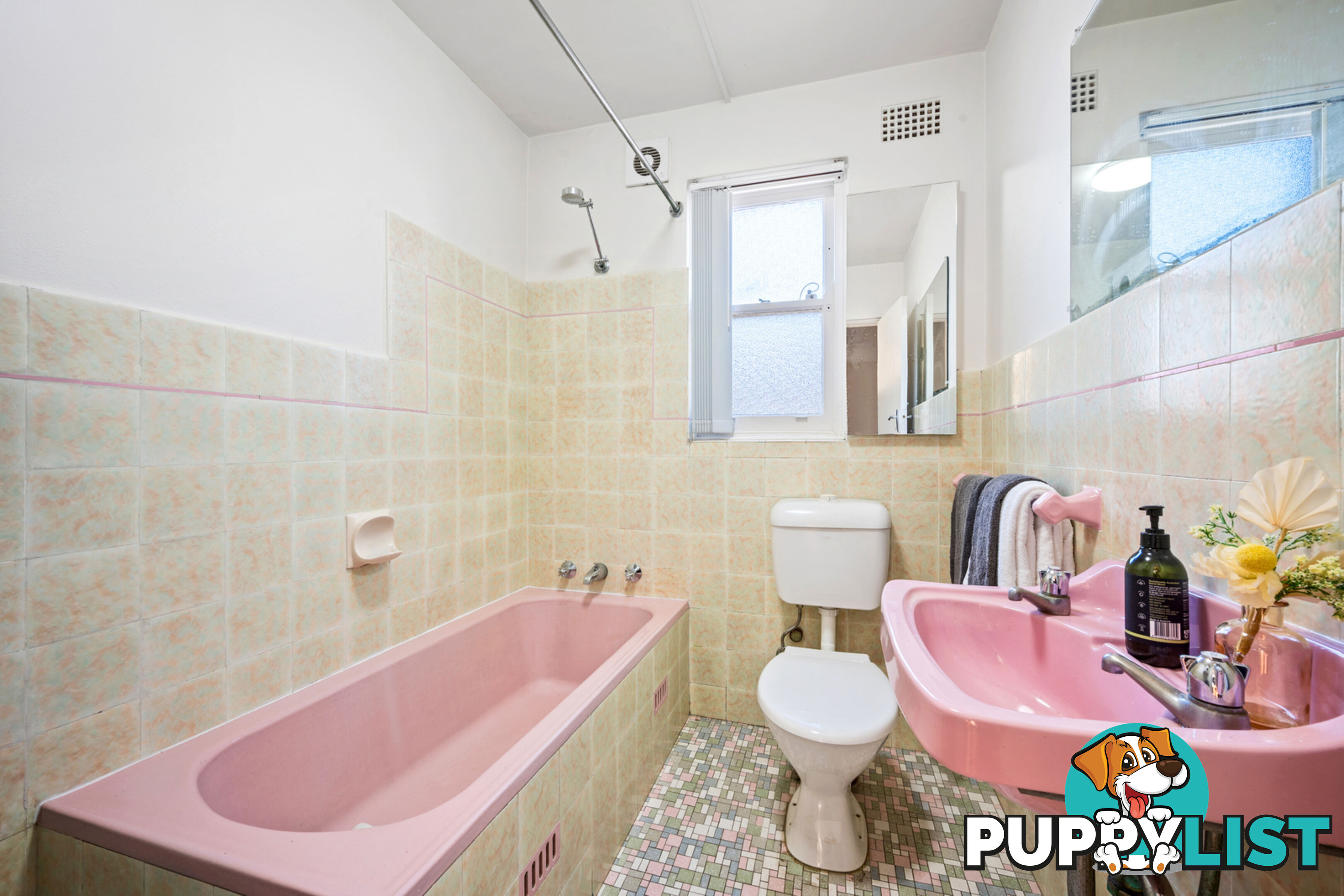 1/187 Frederick Street ASHFIELD NSW 2131