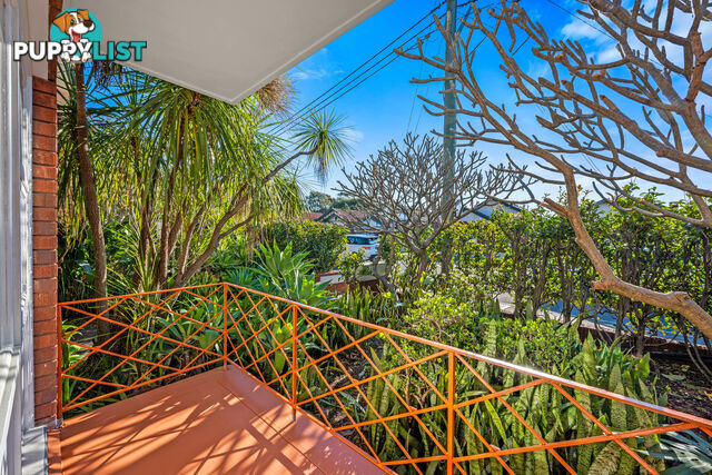 1/187 Frederick Street ASHFIELD NSW 2131