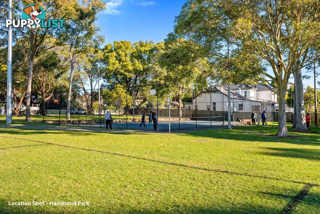1/187 Frederick Street ASHFIELD NSW 2131