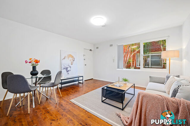 1/187 Frederick Street ASHFIELD NSW 2131