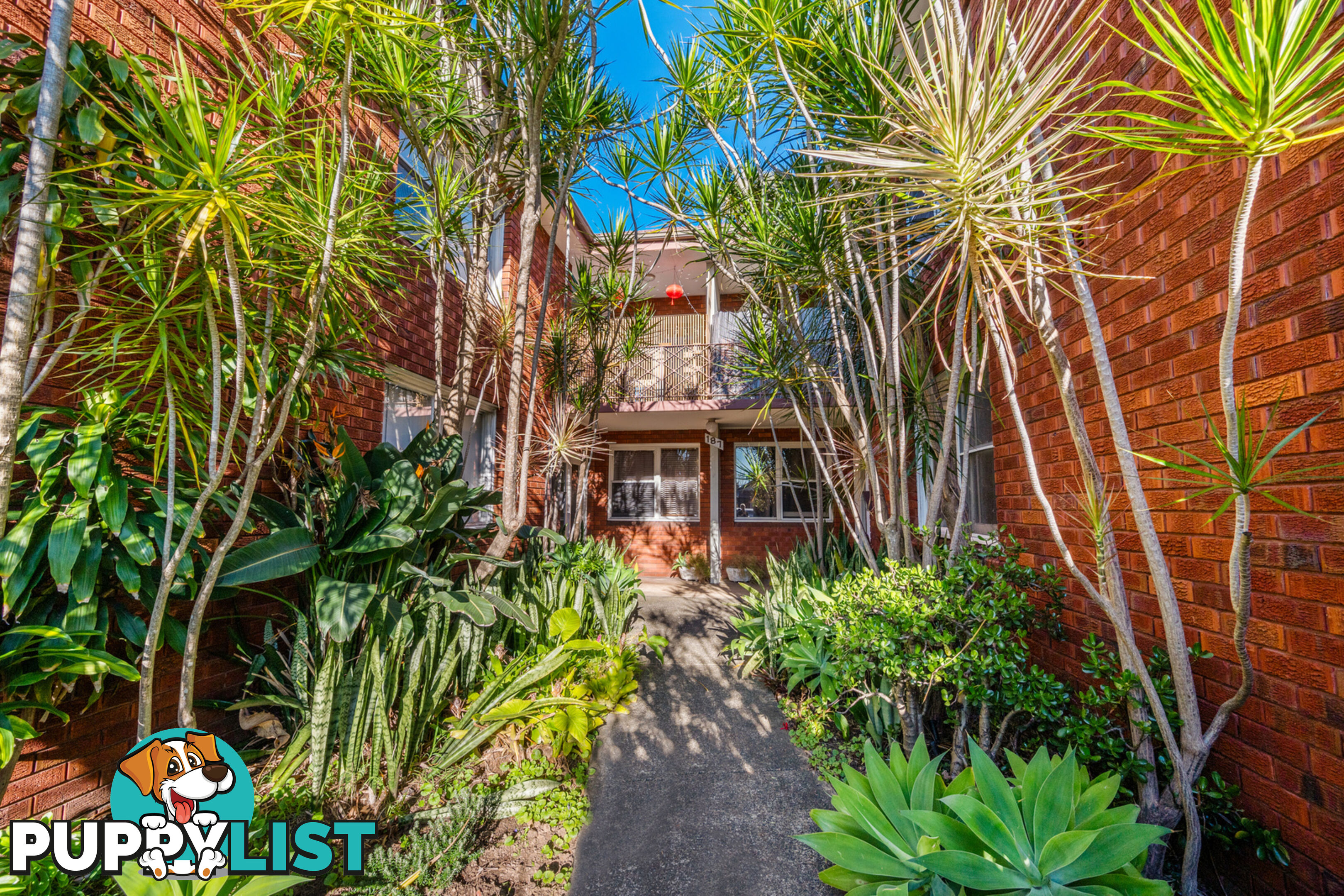 1/187 Frederick Street ASHFIELD NSW 2131