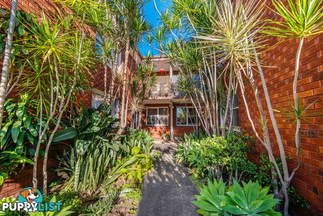 1/187 Frederick Street ASHFIELD NSW 2131