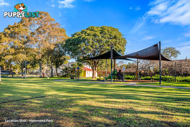 1/187 Frederick Street ASHFIELD NSW 2131