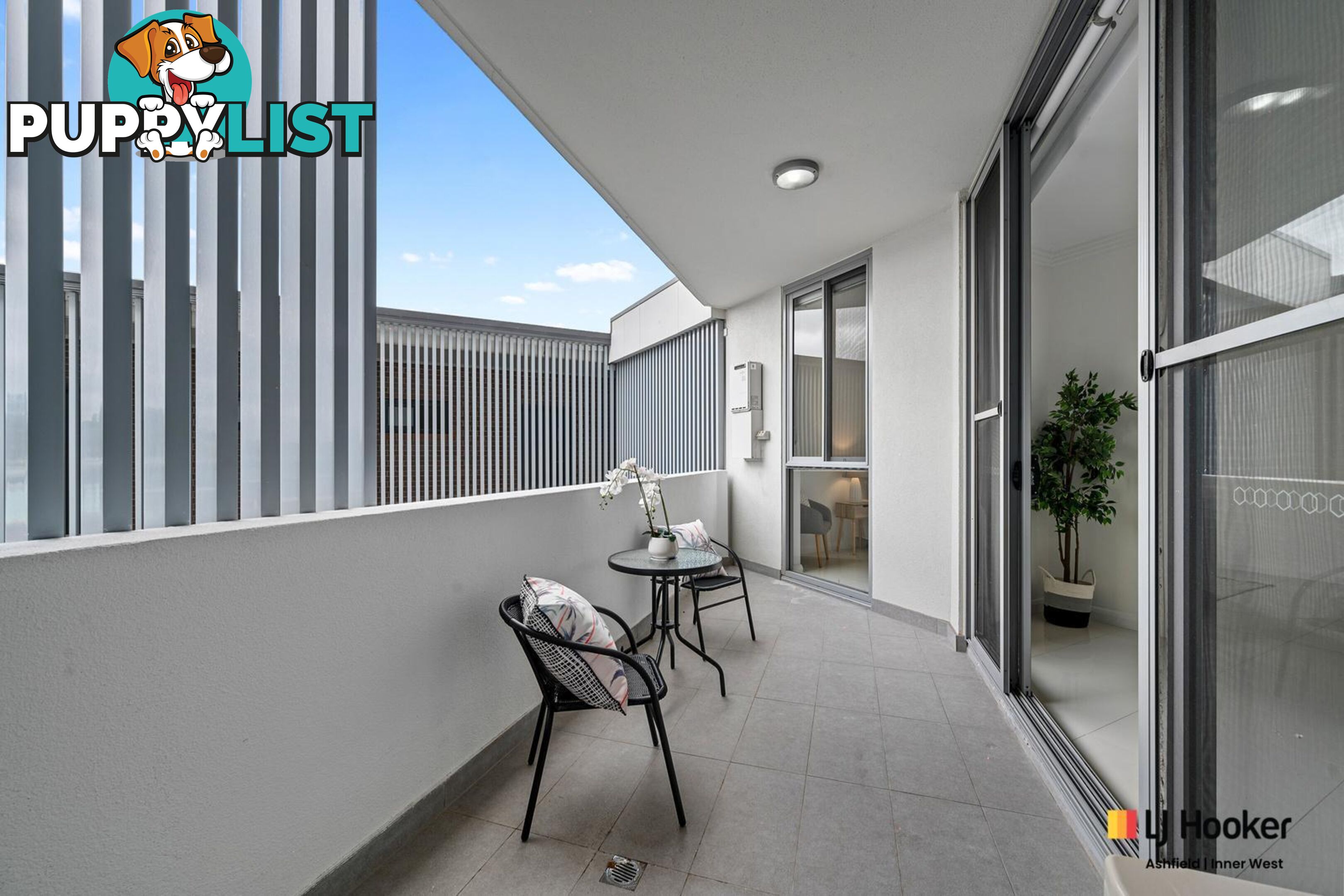 308/11 Hercules Street ASHFIELD NSW 2131