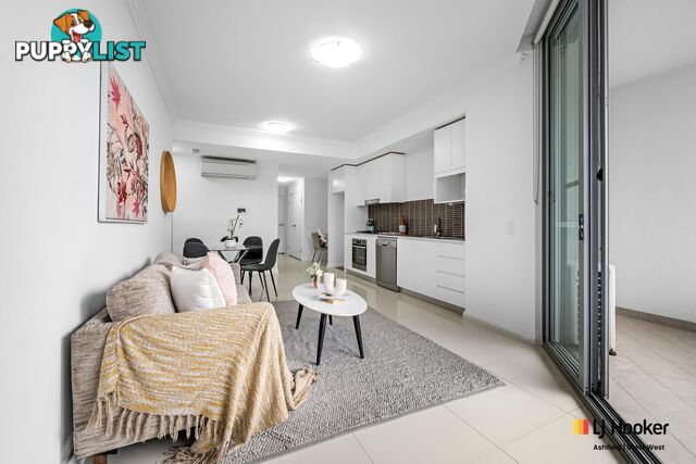 308/11 Hercules Street ASHFIELD NSW 2131