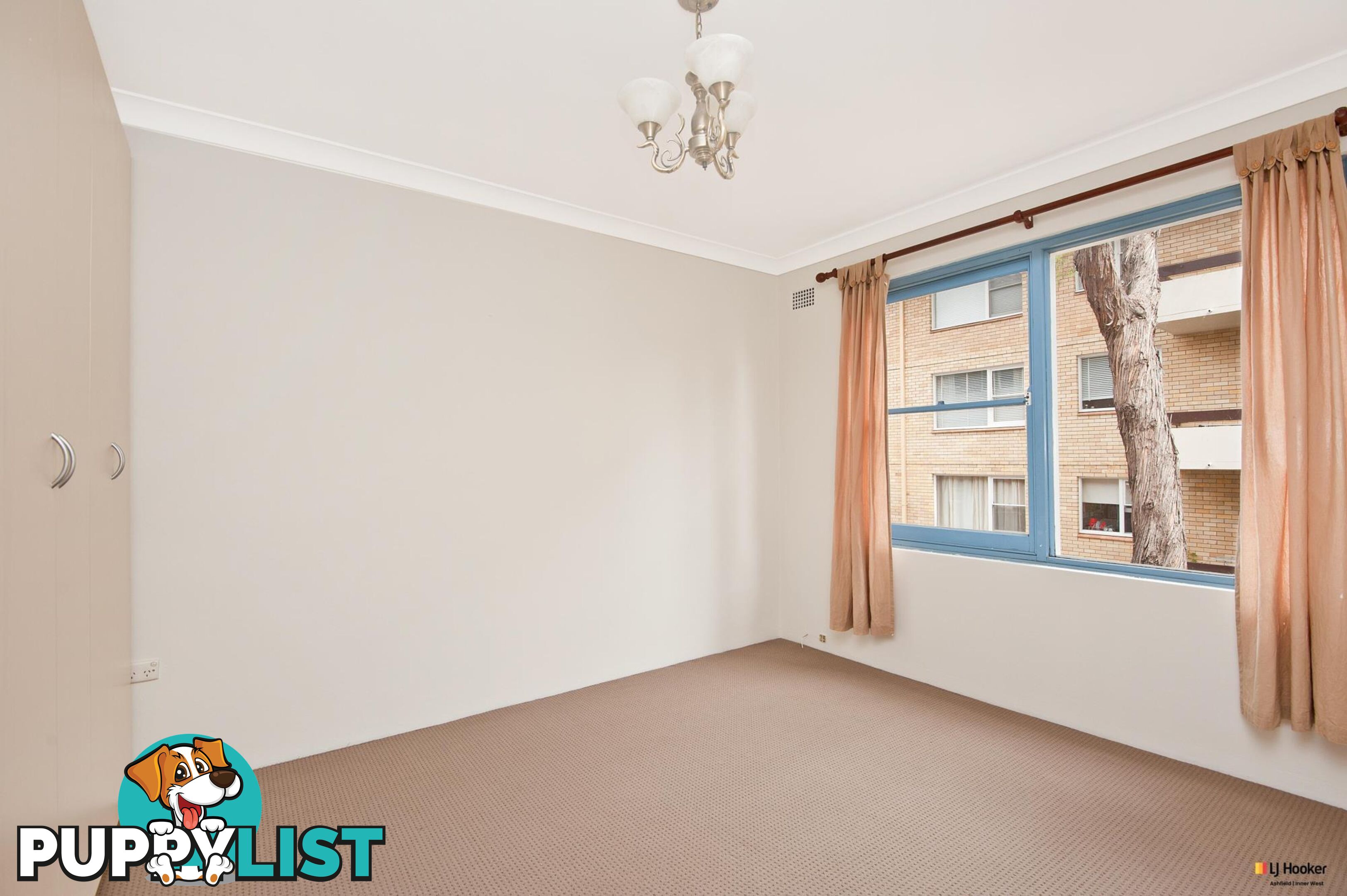 14/38 Alt Street ASHFIELD NSW 2131