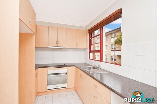 14/38 Alt Street ASHFIELD NSW 2131