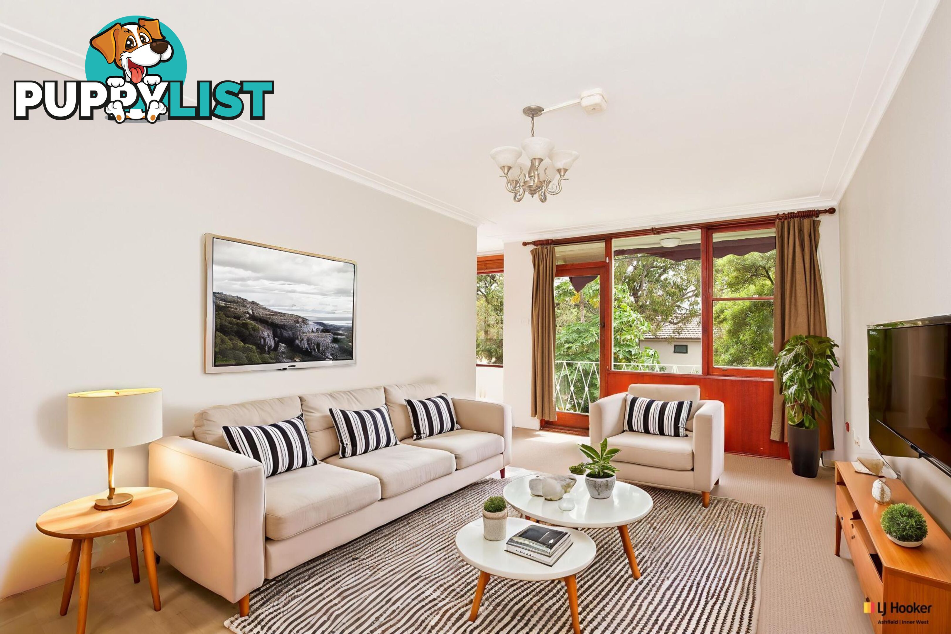 14/38 Alt Street ASHFIELD NSW 2131