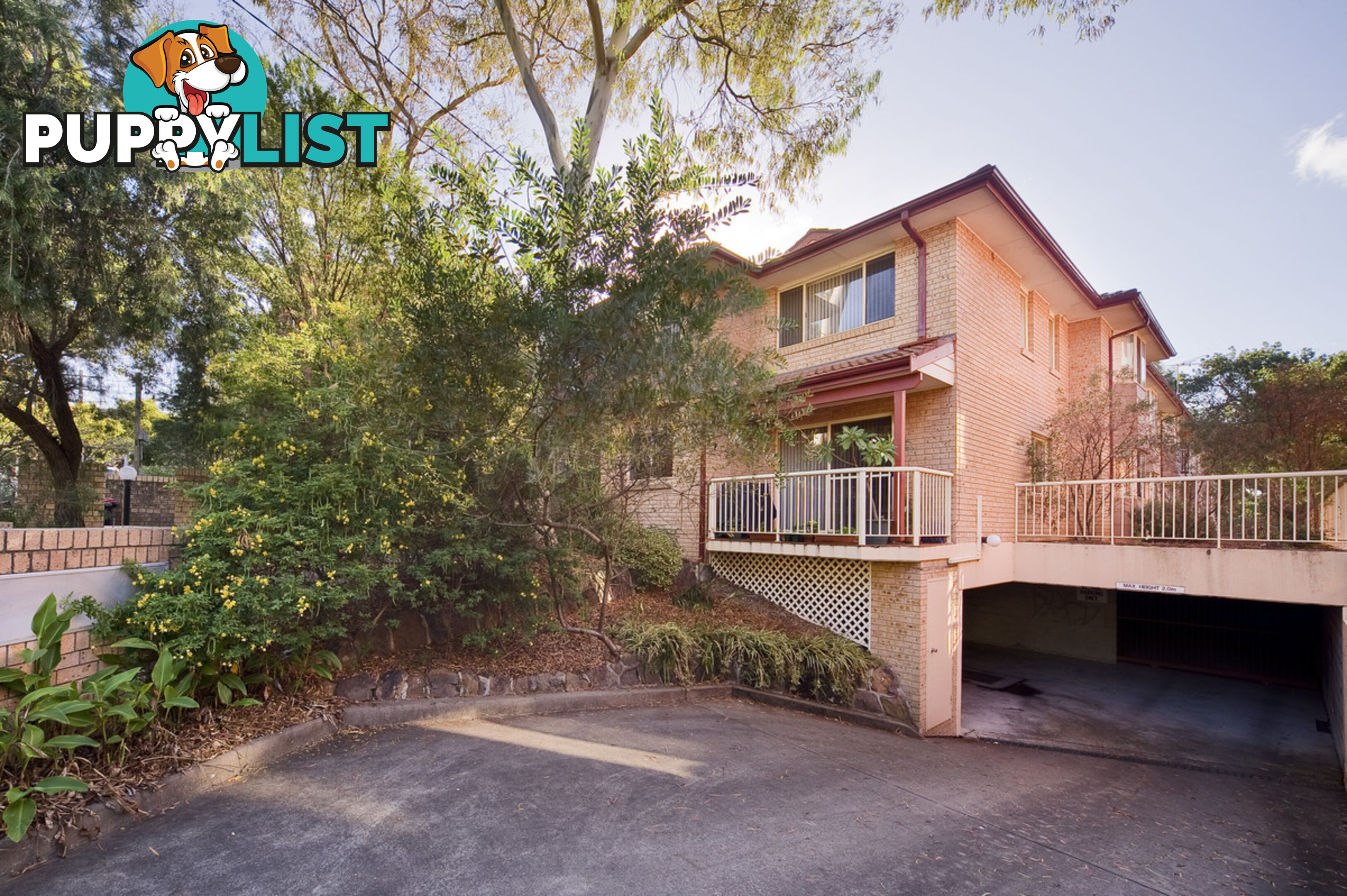 3A/14 Cecil Street ASHFIELD NSW 2131