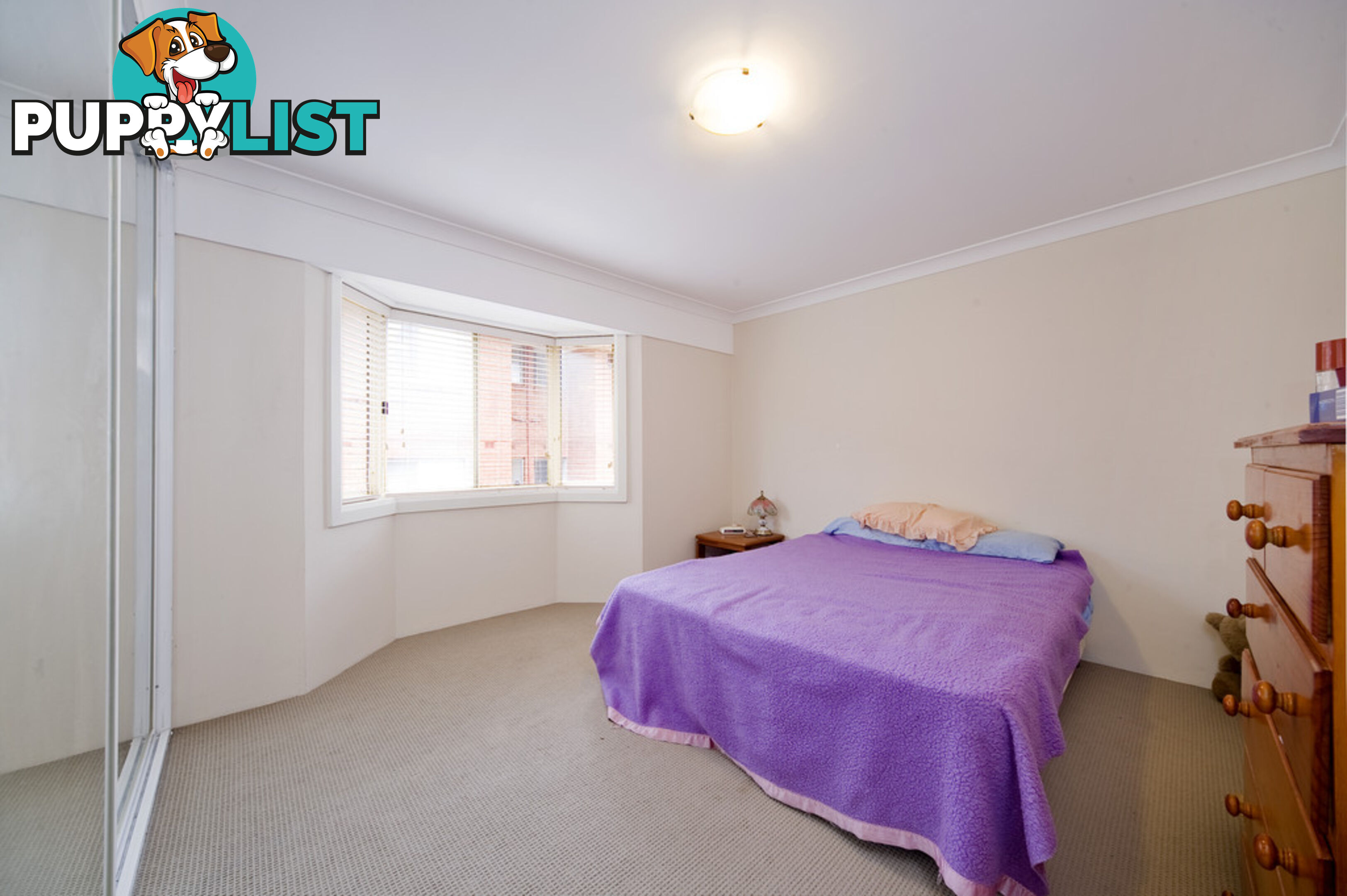 3A/14 Cecil Street ASHFIELD NSW 2131