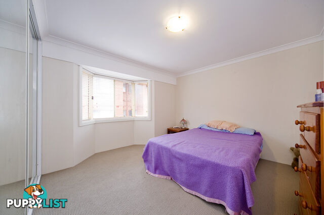 3A/14 Cecil Street ASHFIELD NSW 2131