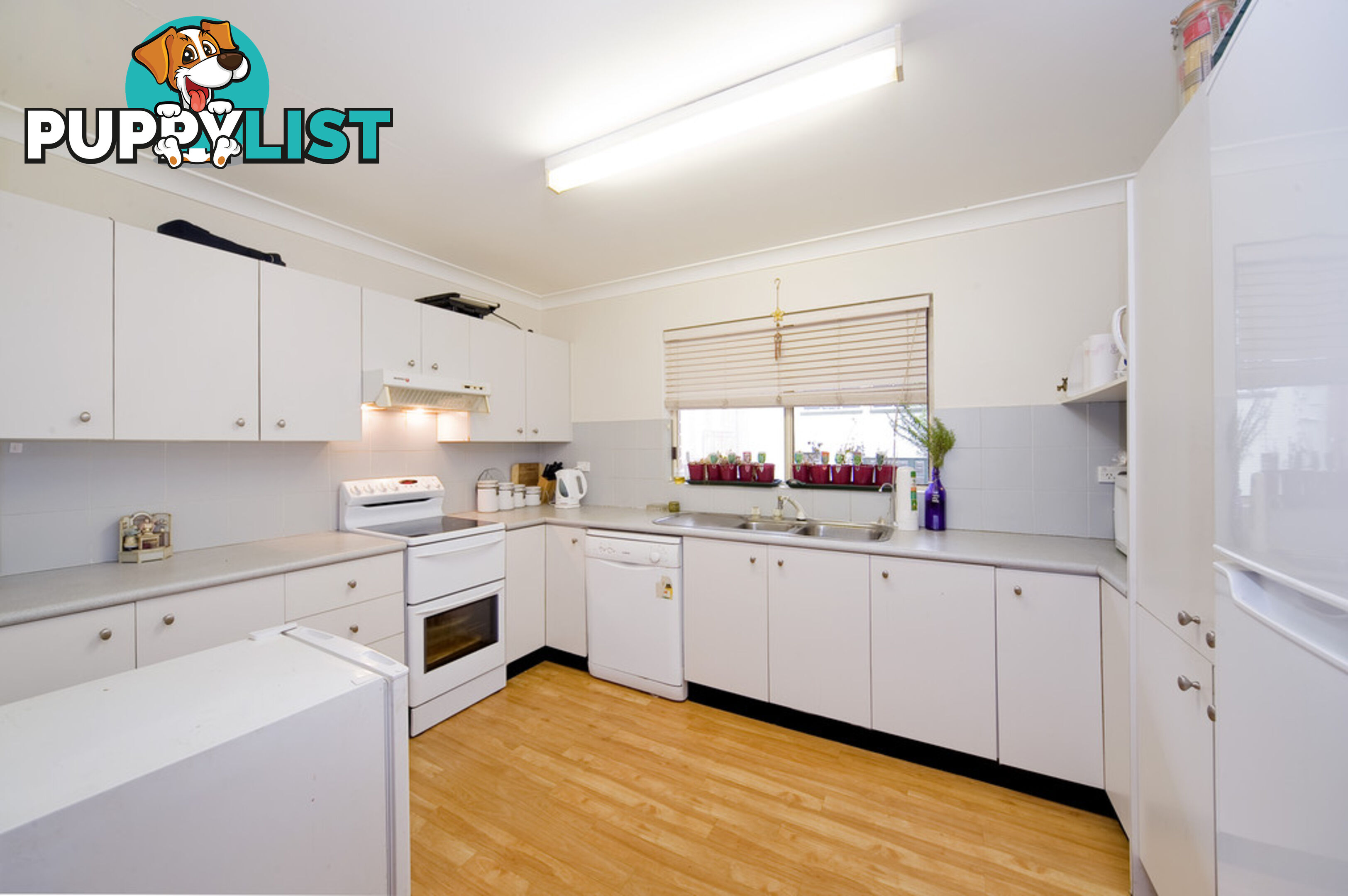 3A/14 Cecil Street ASHFIELD NSW 2131