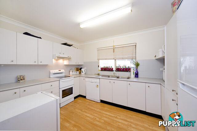 3A/14 Cecil Street ASHFIELD NSW 2131