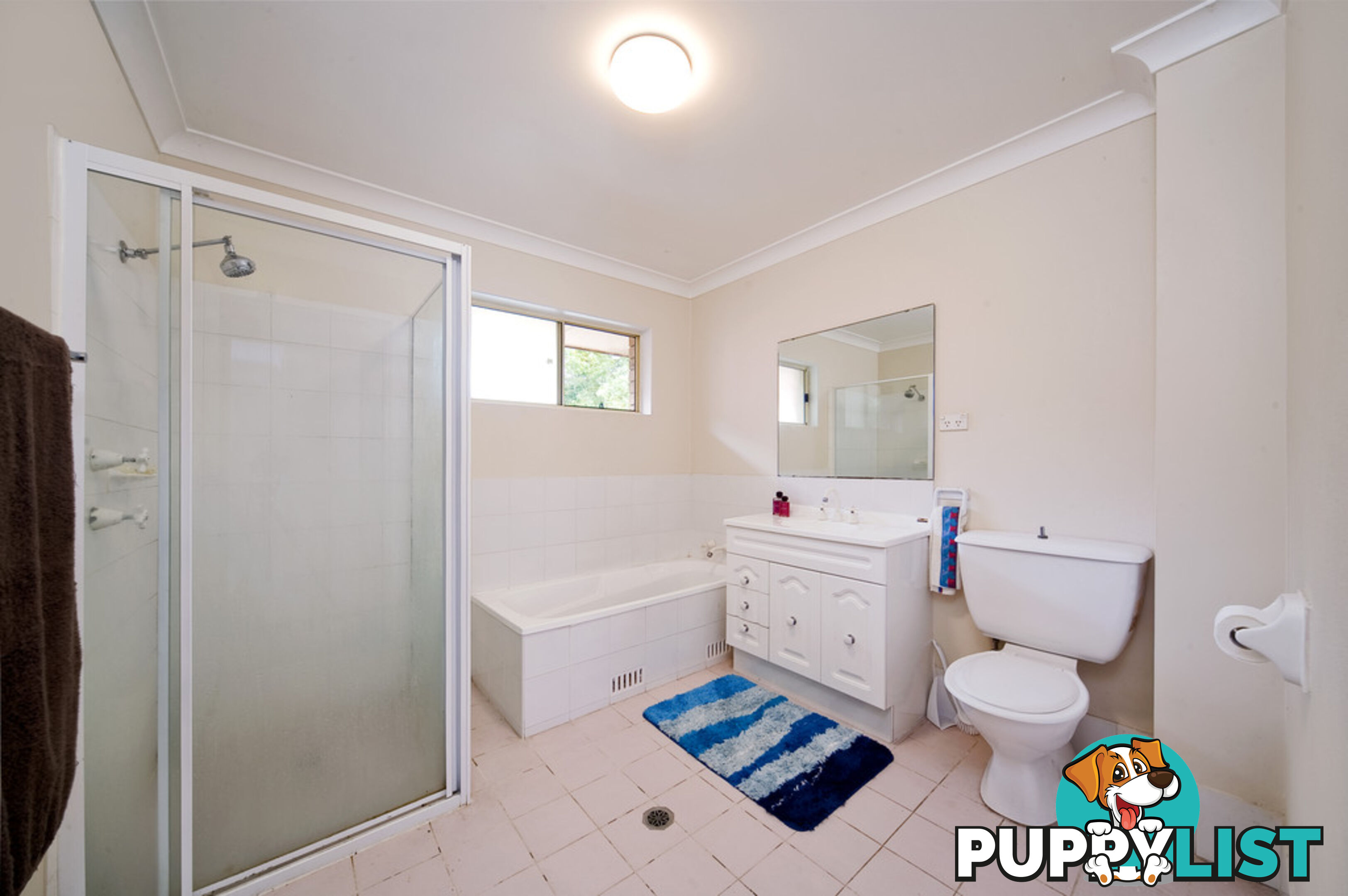 3A/14 Cecil Street ASHFIELD NSW 2131